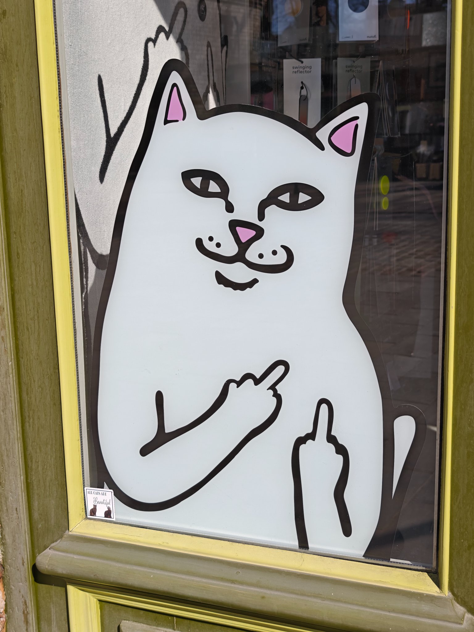 MVIMG 20250415 113930