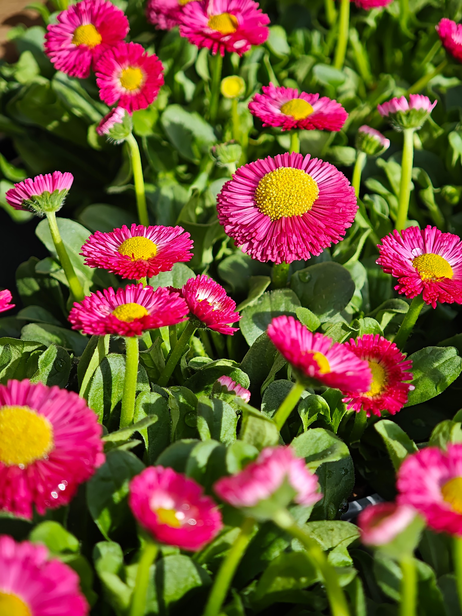 MVIMG 20250402 155955